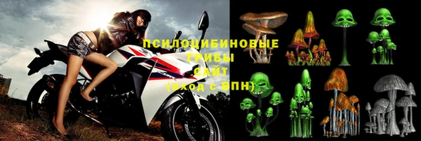 хмурый Арсеньев
