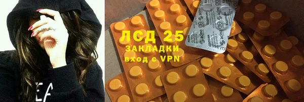 хмурый Арсеньев