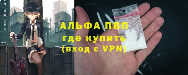 хмурый Арсеньев