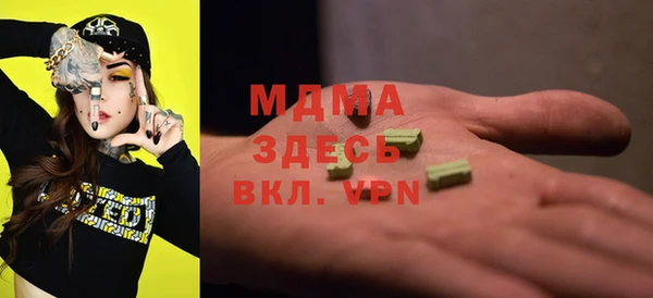 хмурый Арсеньев