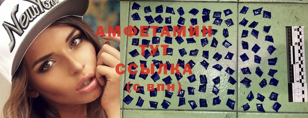 хмурый Арсеньев