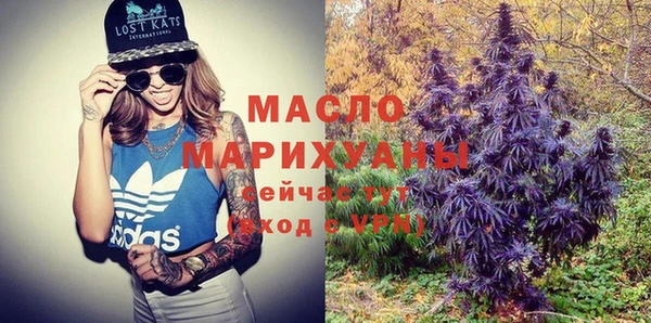 хмурый Арсеньев