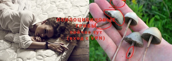 хмурый Арсеньев